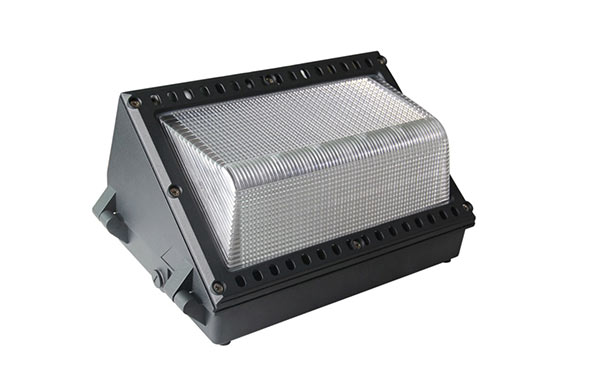 60W Wall Park Light