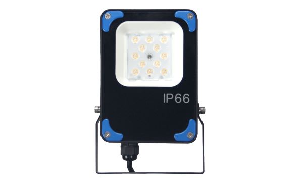 10W Flood Light