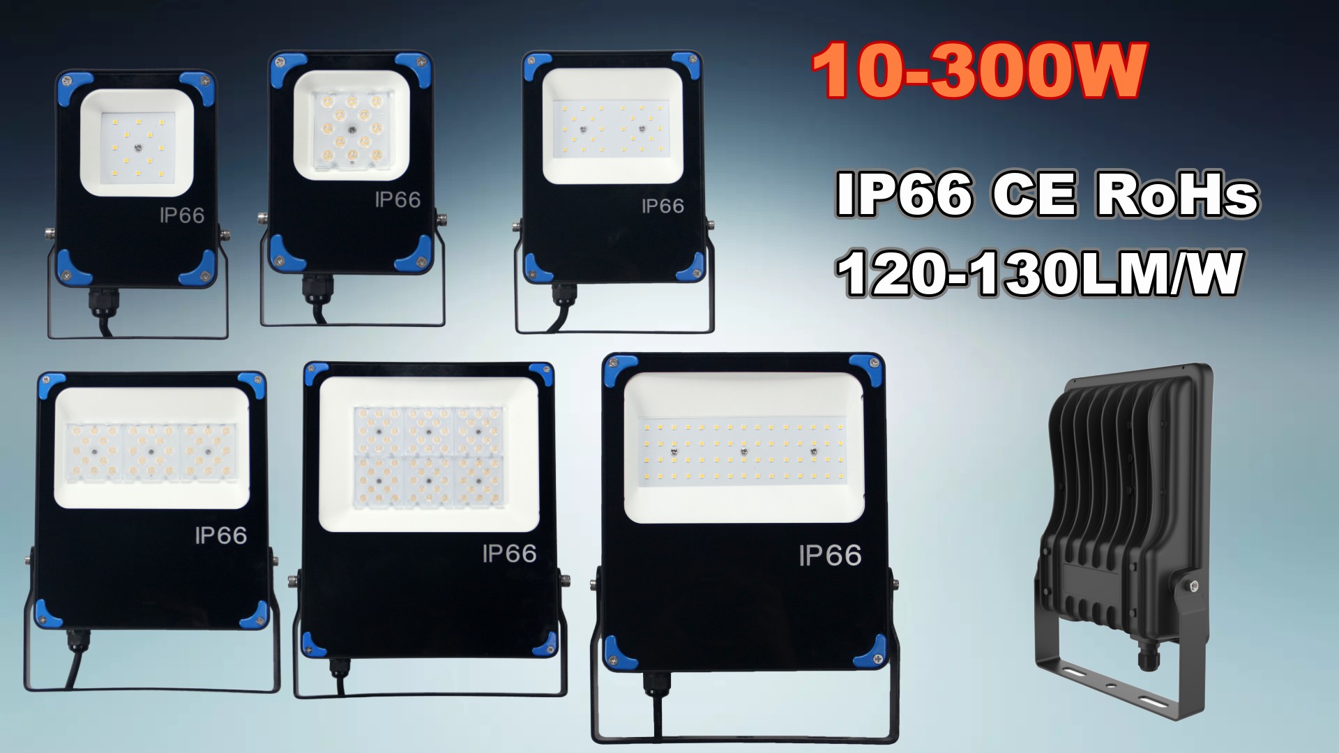 20W Flood Light