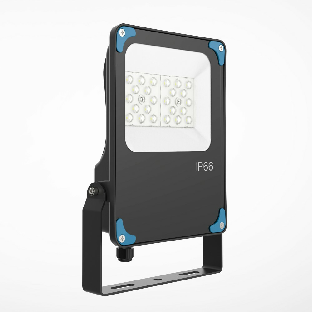 20W Flood Light