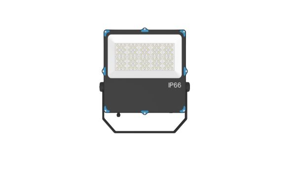 100W Flood Light