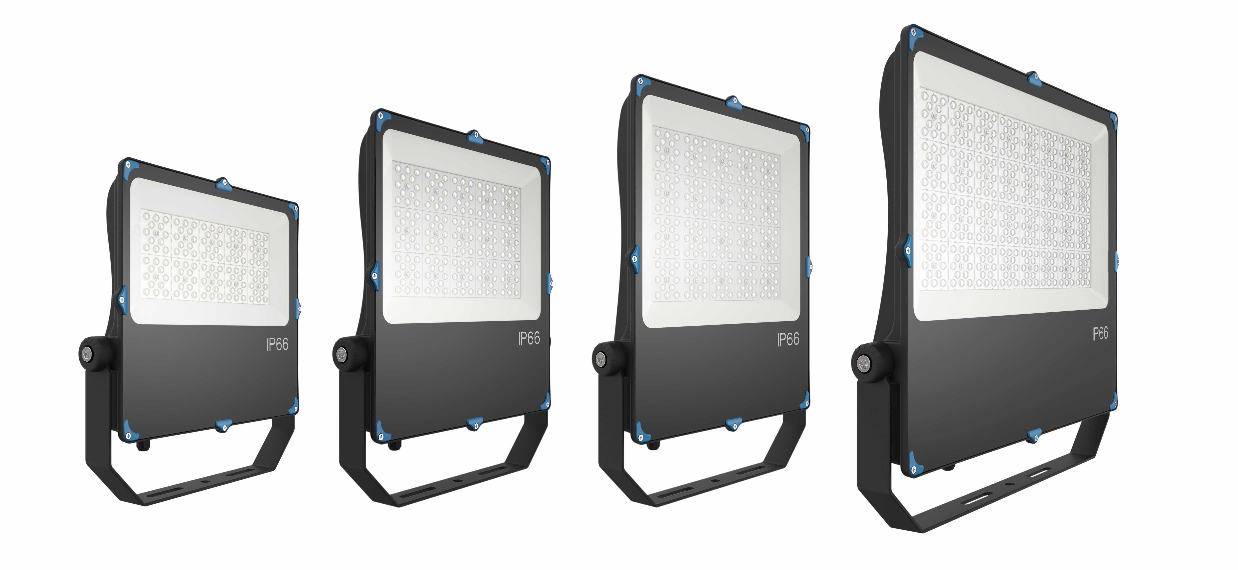 100W Flood Light