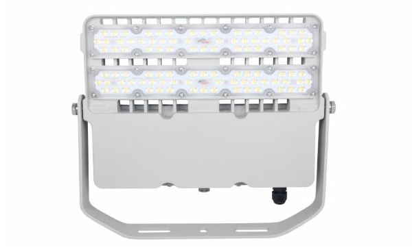 100W Flood Light