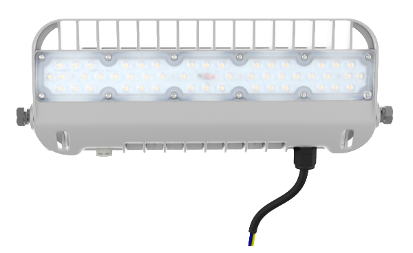 50W Flood Light