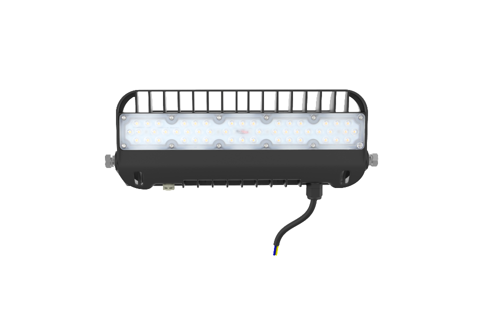 50W Flood Light