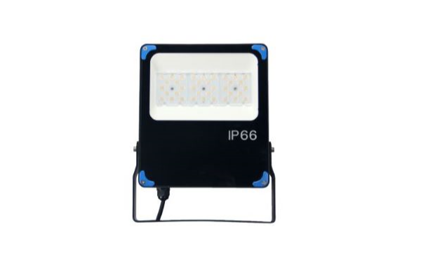 30W Flood Light