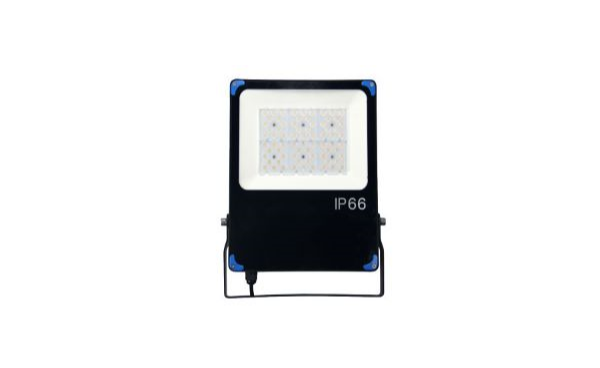 50W Flood Light