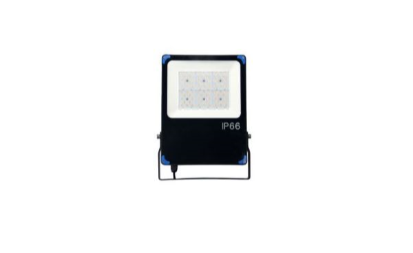 20W Flood Light