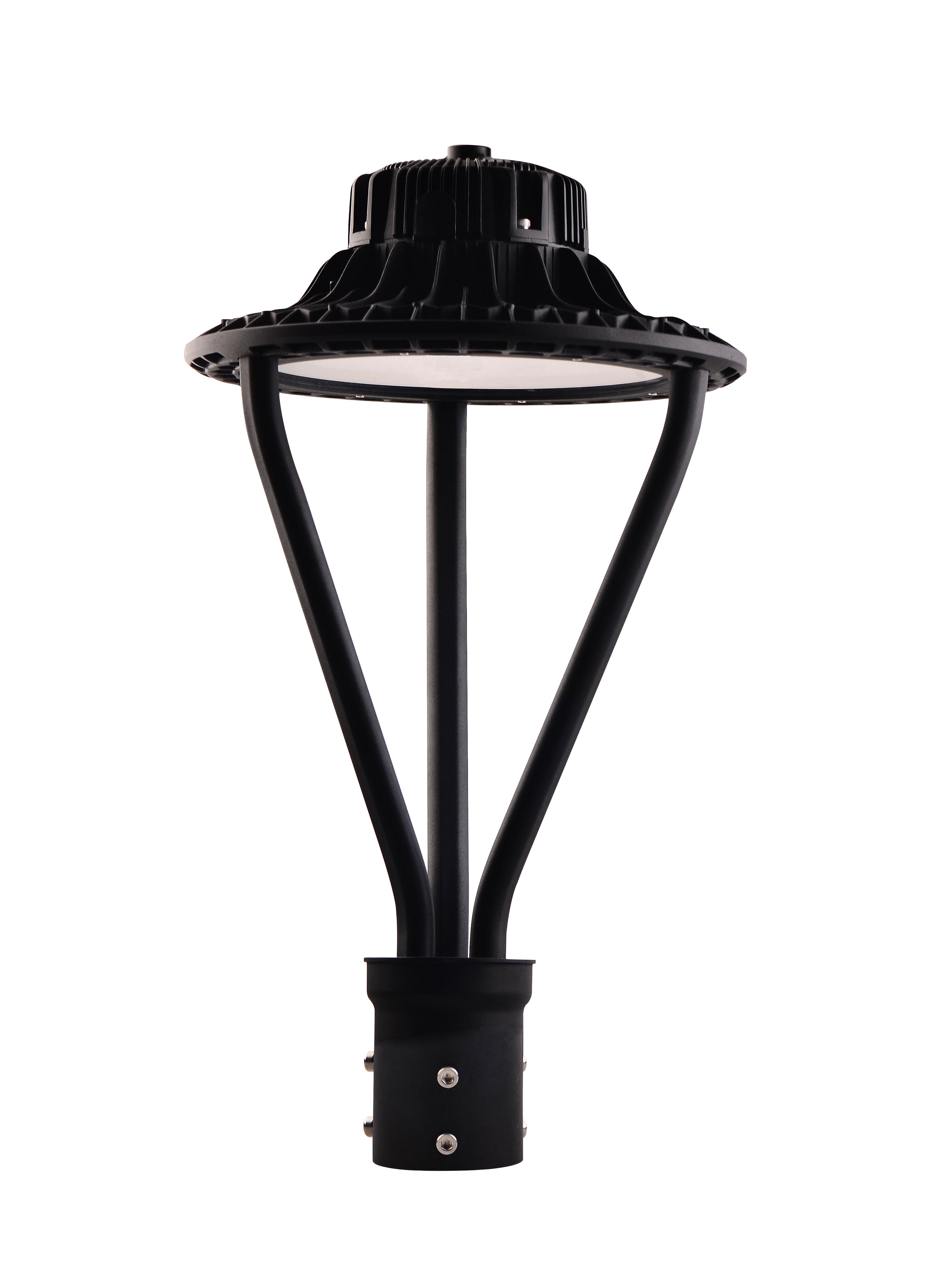 100W Garden Light